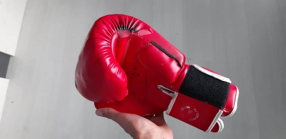 Best 16oz Boxing Gloves
